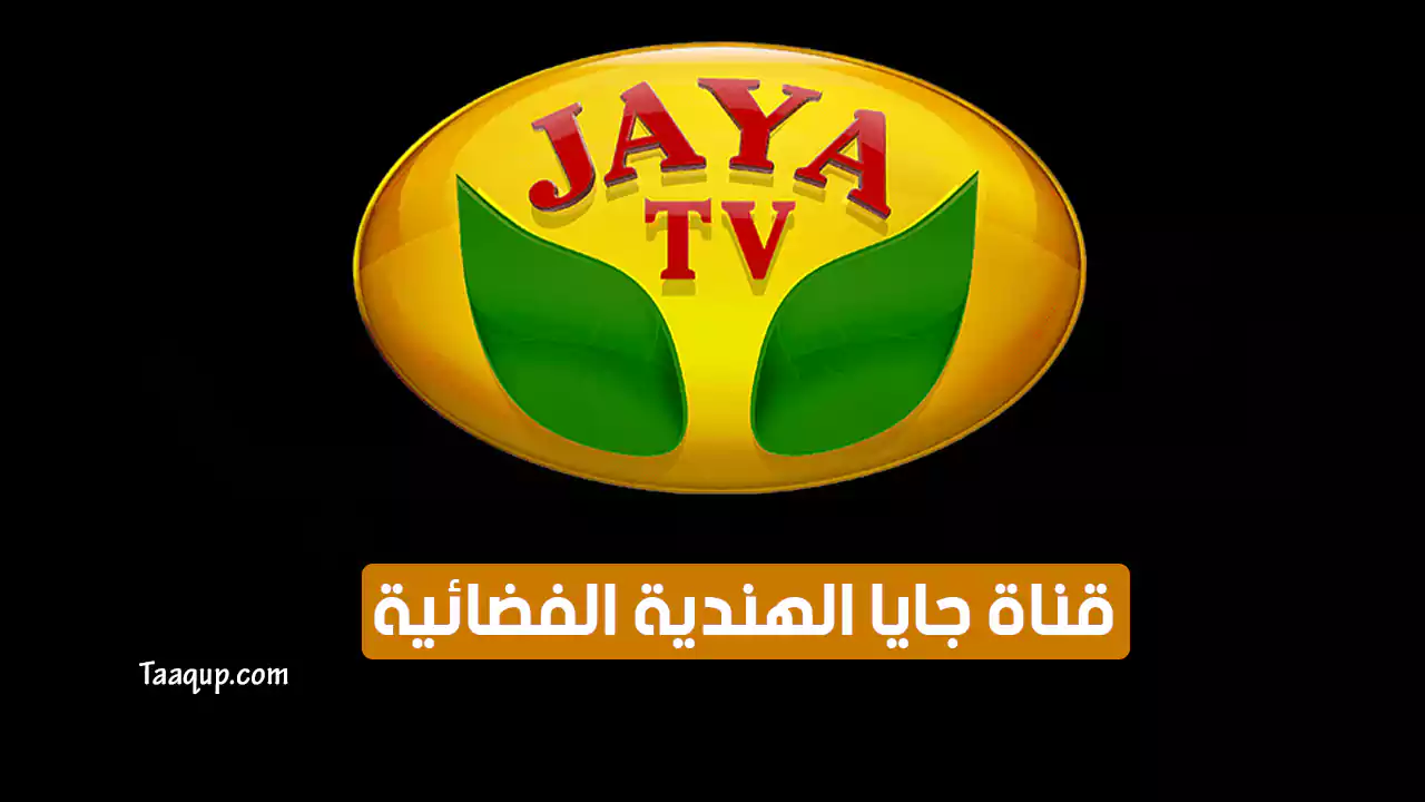 Jaya TV raids: The people understand what is going on, says TTV Dinakaran -  India News News